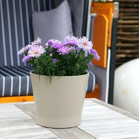 Ferienhaus Cliffkieker Semesterbostad Rostock
